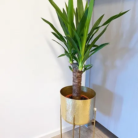 Apartman Fuchsbau Unterm Kroenchen *