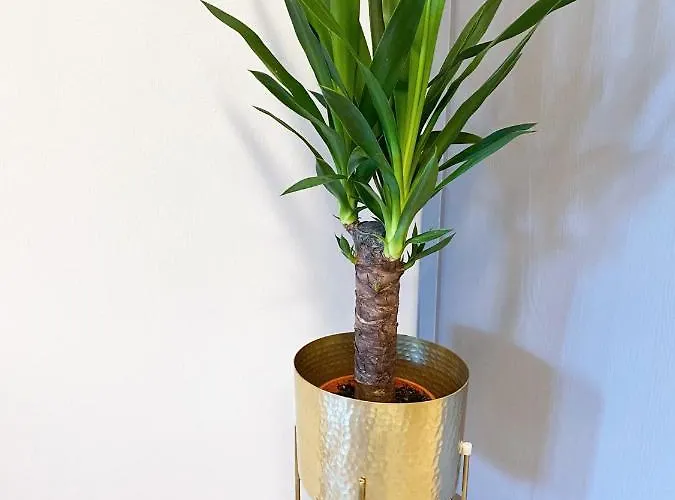 Apartman Fuchsbau Unterm Kroenchen *